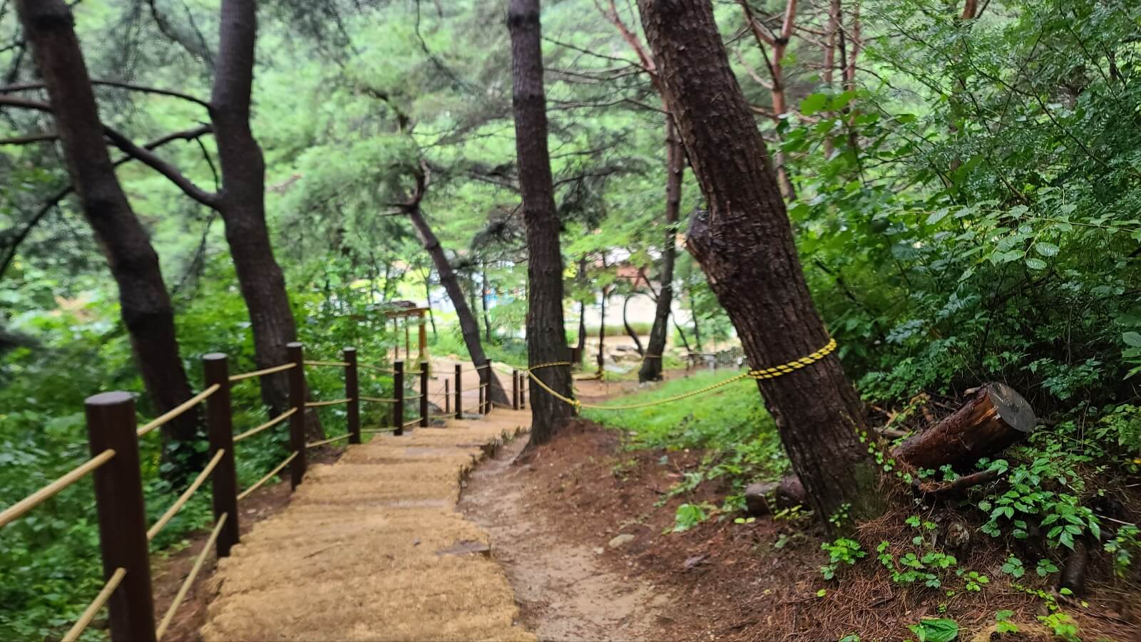 등산로1