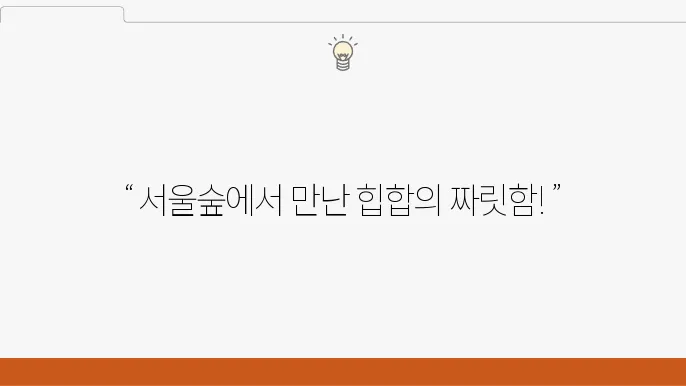 서울숲 힙합 페스티벌의 다채로운 공연