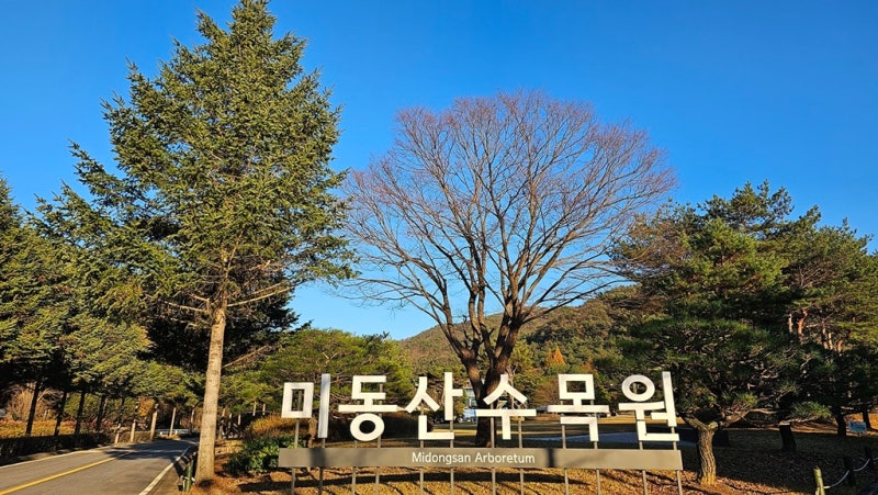 미동산수목원 관람 가이드 – 이용 정보부터 산책 코스까지 한눈에 정리