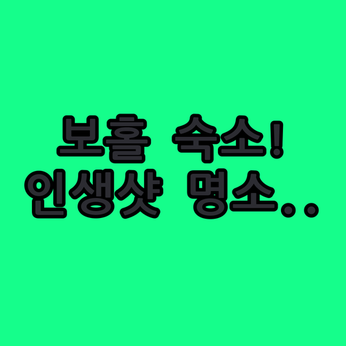 보홀 팡라오 숙소 추천 리스트 수영장..