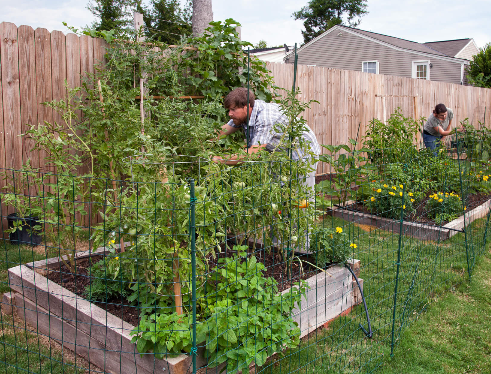 생활전체 균형1