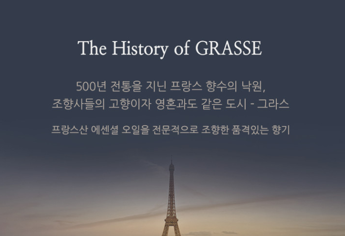 불스원-그라스인스틱-디퓨저