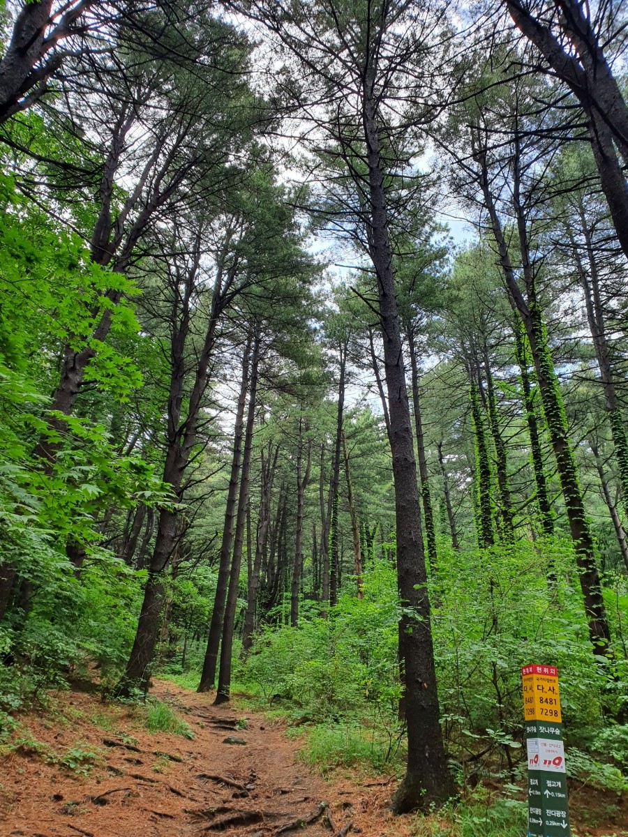 축령산자연휴양림