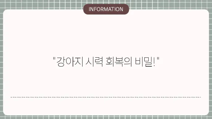 강아지 백내장 안약: