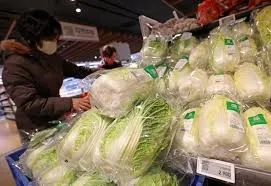 민생회복 소비쿠폰 지급