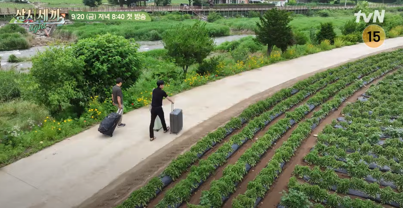 삼시세끼-어촌편-시즌-6-임영웅-방송시간-다시보기
