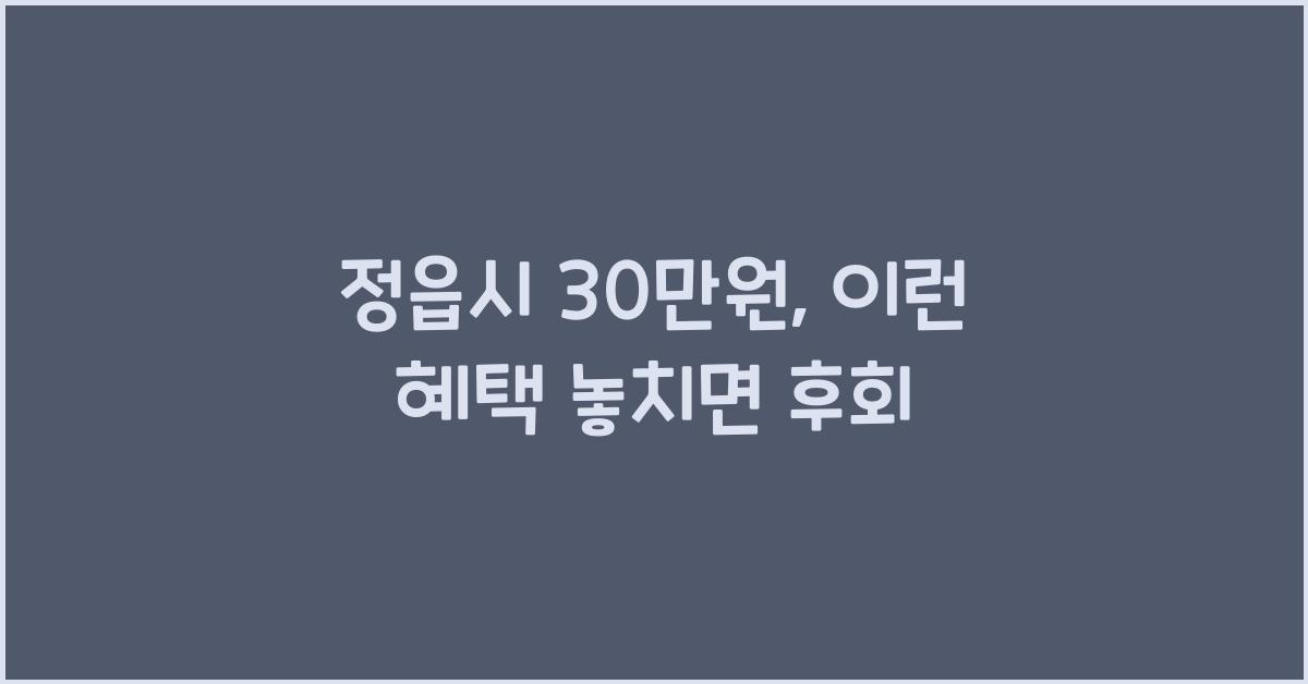 정읍시 30만원