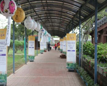 무안 연꽃축제 프로그램_5