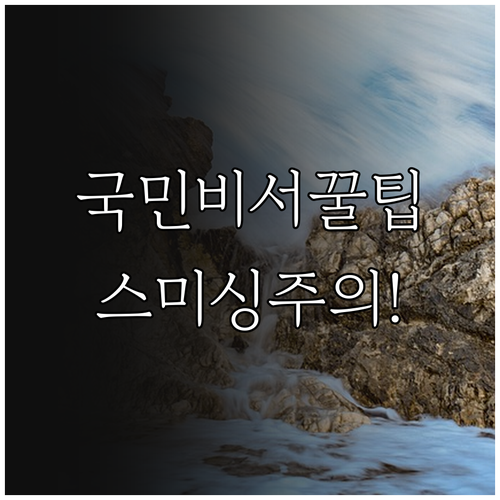 국민비서 알림 카카오톡으로 받는 법과..