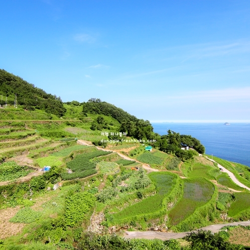 남해 가볼만하곳 베스트10