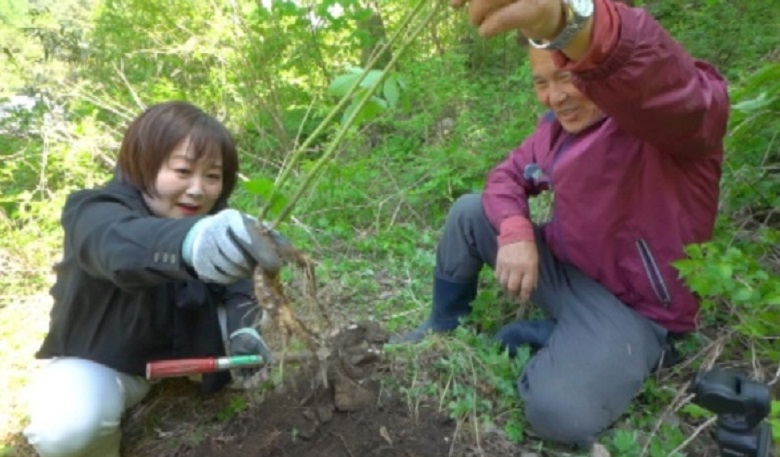 한국기행-토종꿀-김성진-설악산-토봉꿀