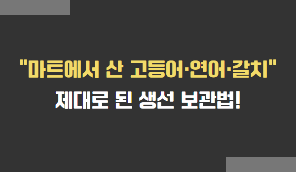 생선 보관법(고등어, 연어, 갈치)