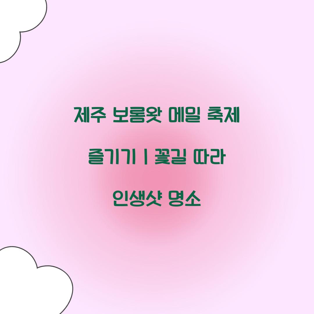 제주 보롬왓 메밀 축제