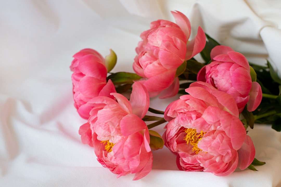 Peony