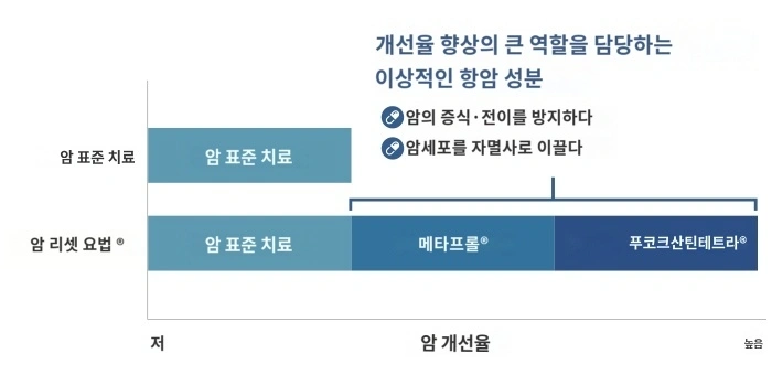 암 치료