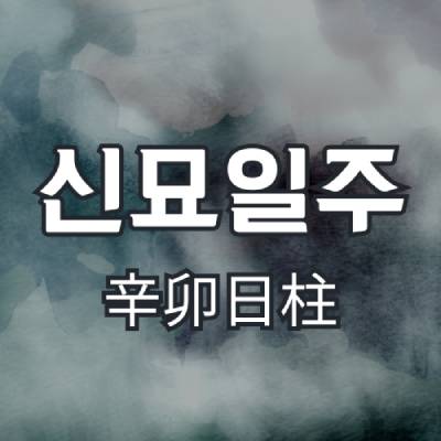 신묘일주(辛卯日柱)