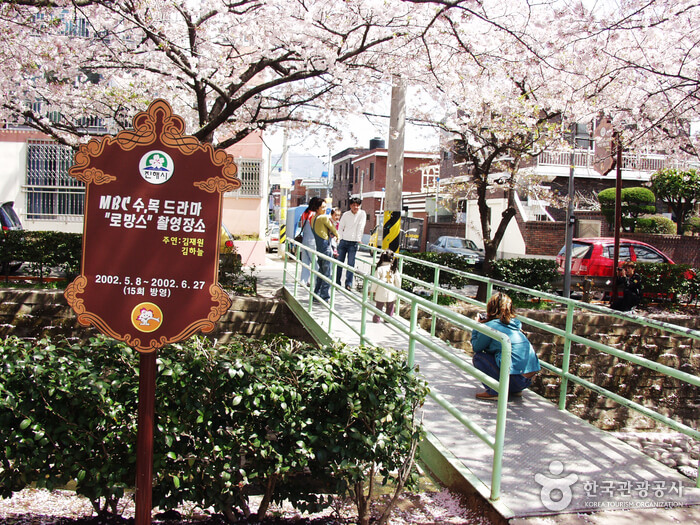 경남 창원 진해 가볼만한 곳 벚꽃 명소 여좌천 볼거리