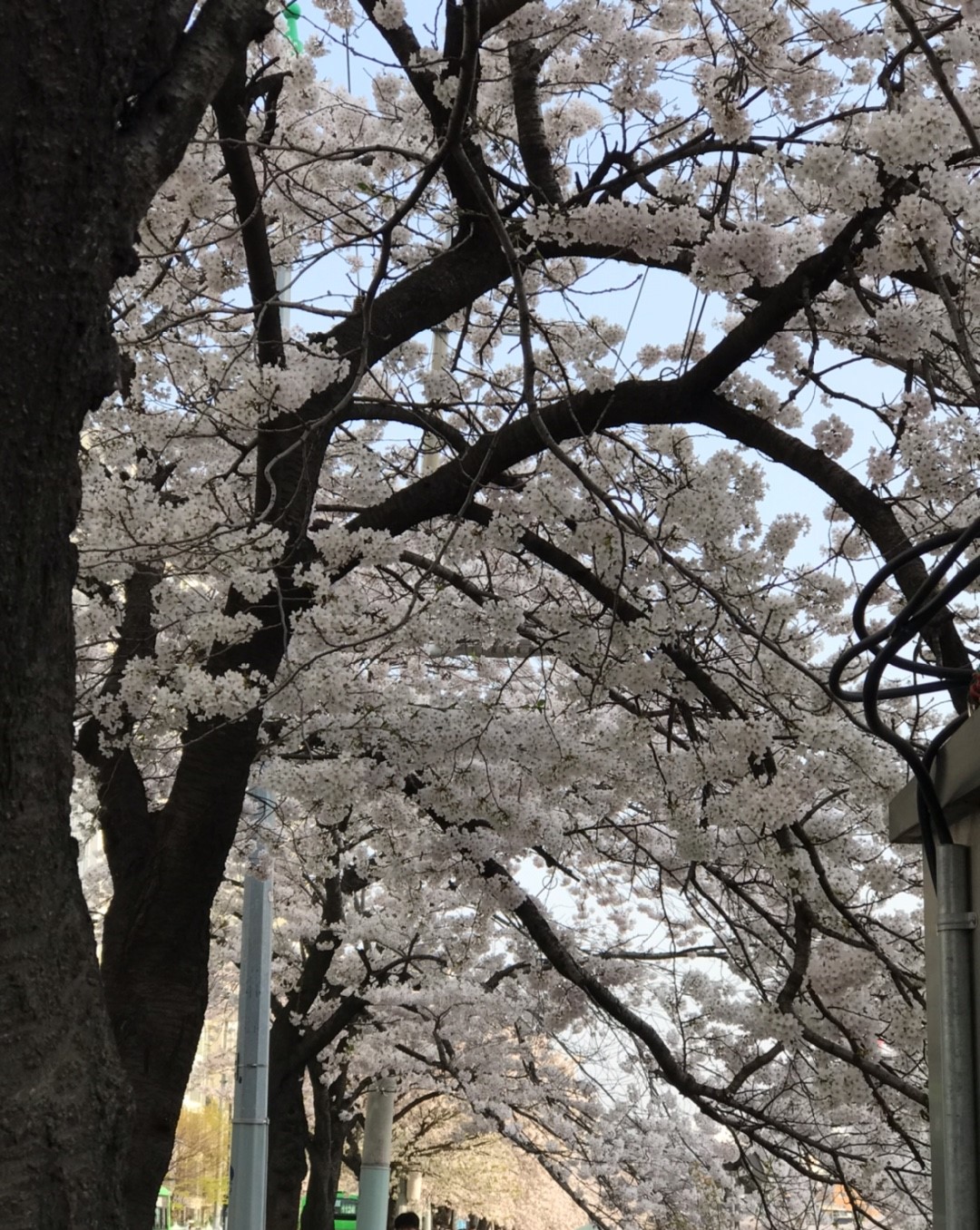 우이천4