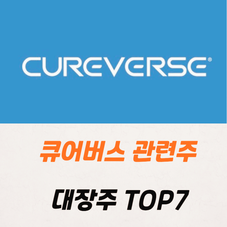 큐어버스 관련주 대장주 테마주 수혜주 TOP5