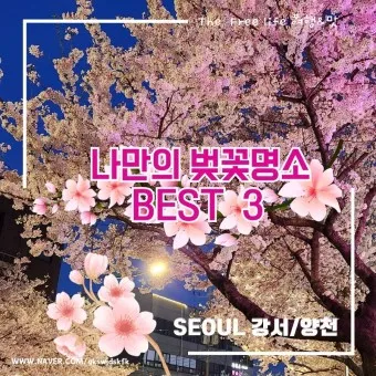 벚꽃 명소 추천 축제 유명한곳_12