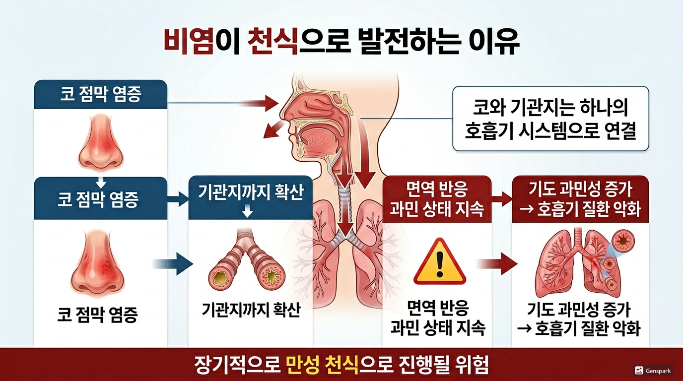 비염이 천식으로 발전하는 이유