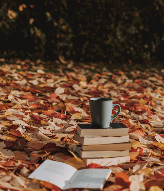 수능 당일 날씨