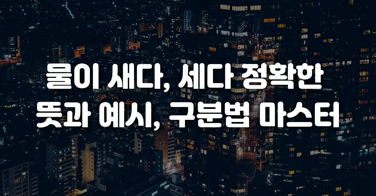 02-물이_새다_세다_정확한_뜻과_예시_구분법_마스터