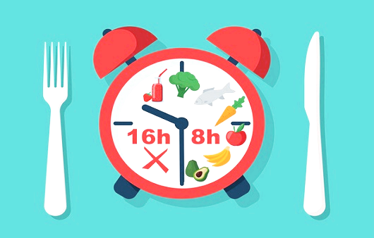 간헐적 단식 16대8 시계로 표현