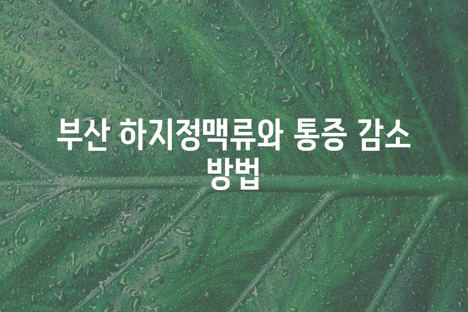 부산 하지정맥류와 통증 감소 방법