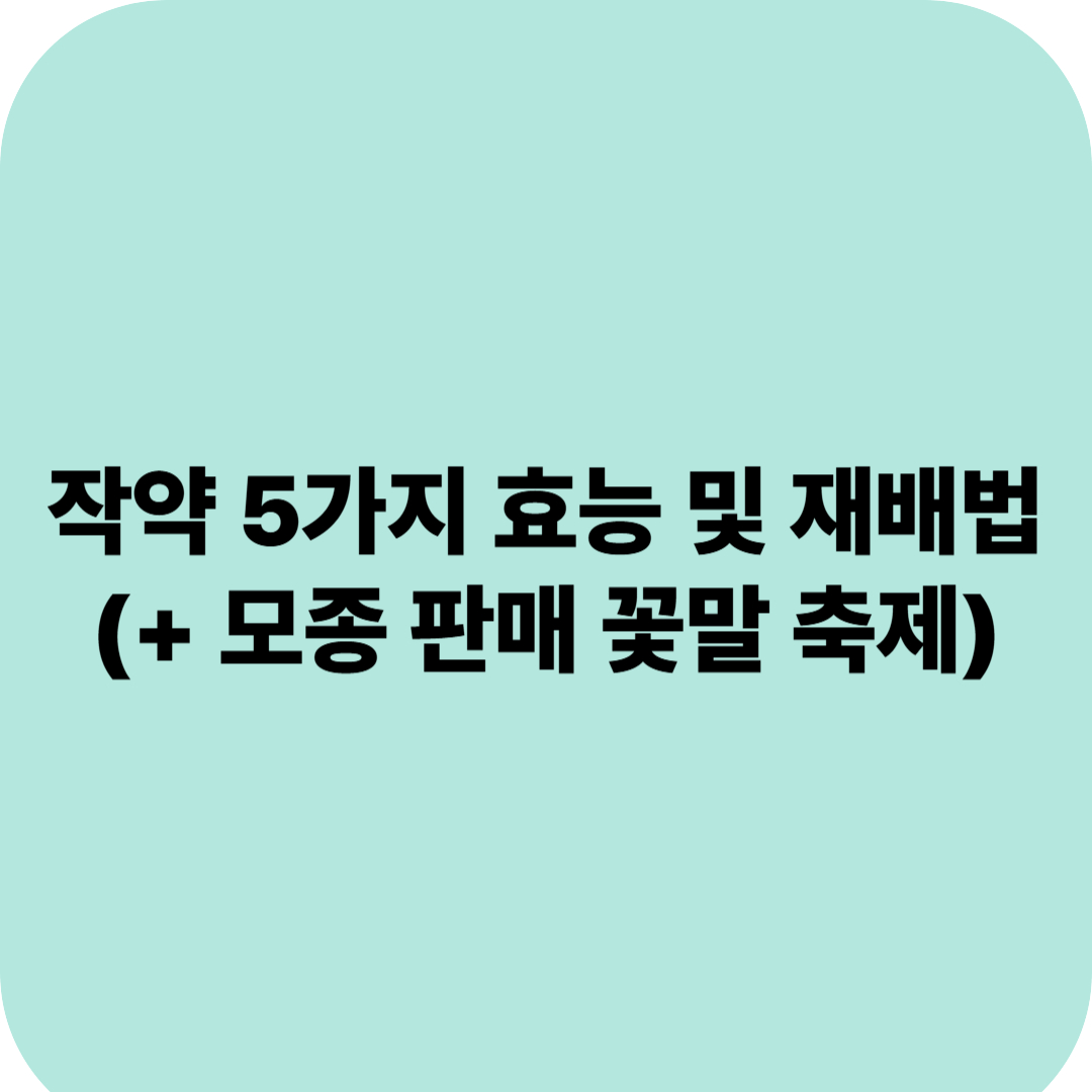 작약 5가지 효능 및 재배법 (+ 모종 판매 꽃말 축제)