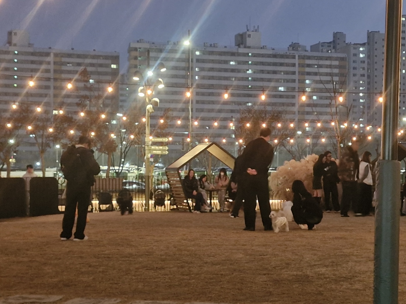 강아지 사망률 50% 개홍역바이러스(CDV,canine distemper virus) 디스템퍼는 어떤병일까?