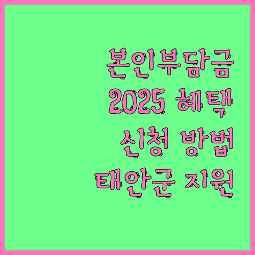 태안군 산후도우미 본인부담금 지원: ..