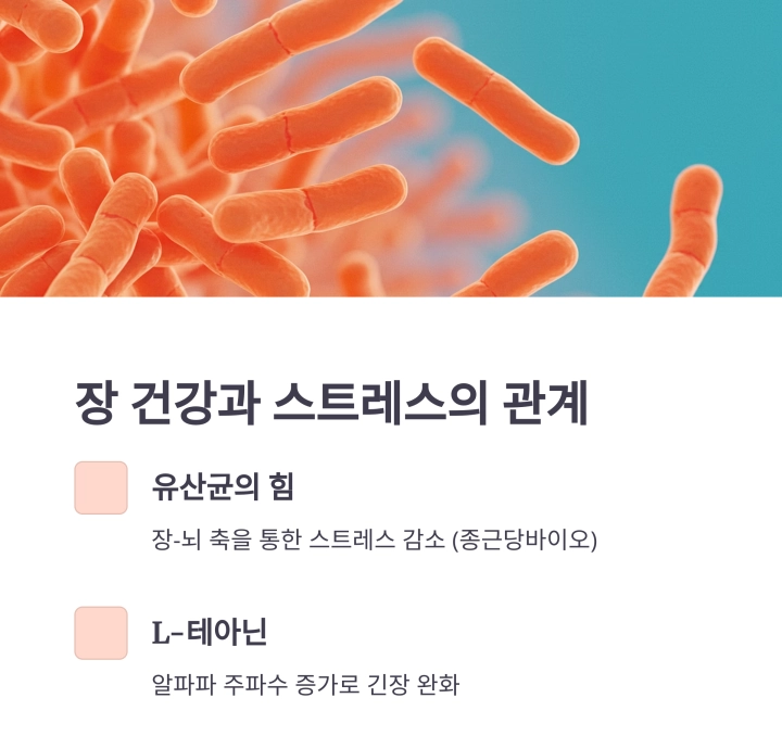 2030세대를 위한 스트레스 날리는 5분 명상법