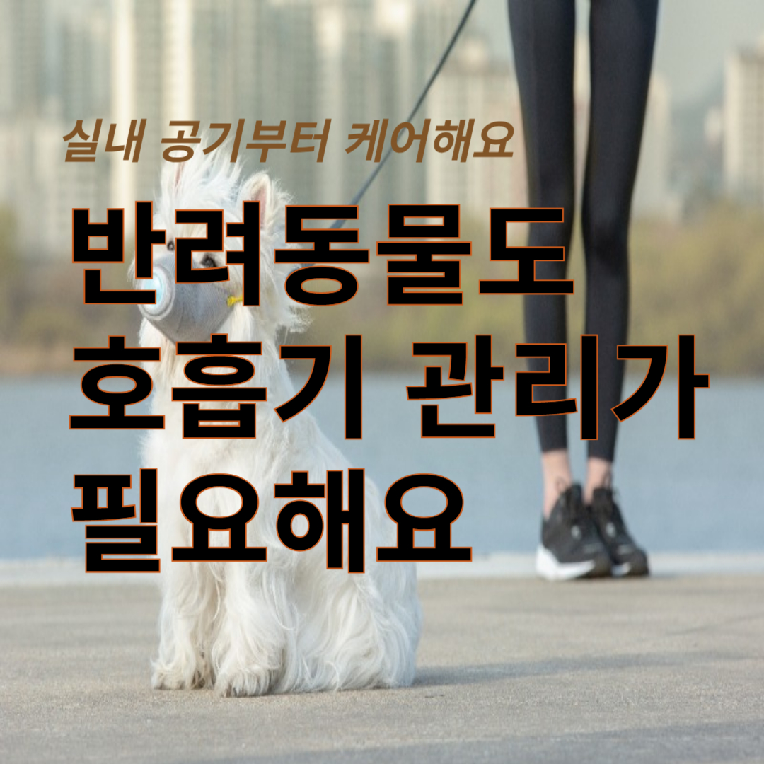 반려동물과 미세먼지: 강아지/고양이 호흡기 보호법[9편]