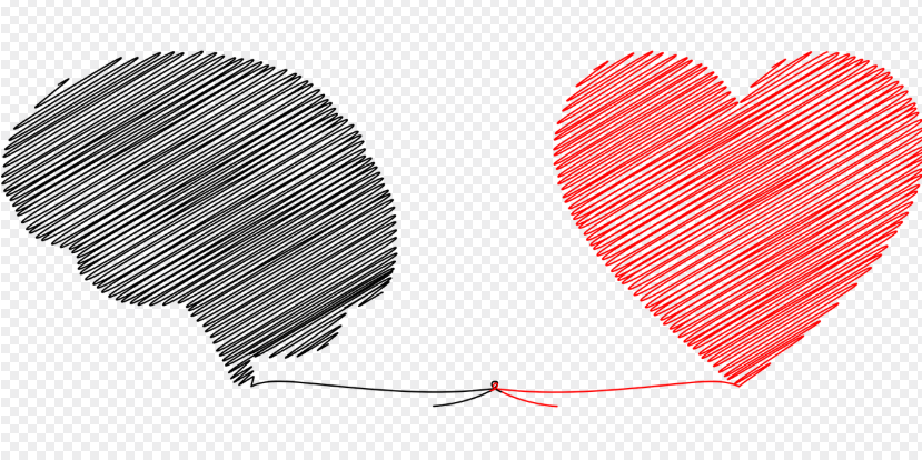 감정과 사고: 감정이 우리의 생각에 미치는 영향