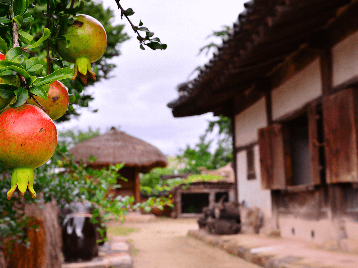 고향사랑기부제 세액공제