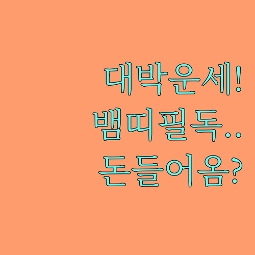 1965년생 뱀띠 2월 운세 정리 재..
