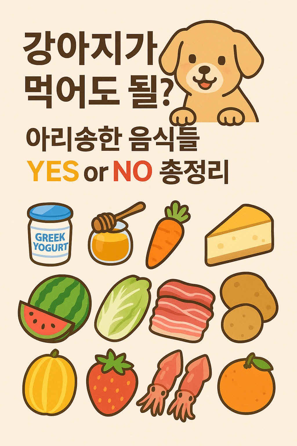 강아지가 먹어도 될까? 아리송한 음식들 YES or NO 총정리!