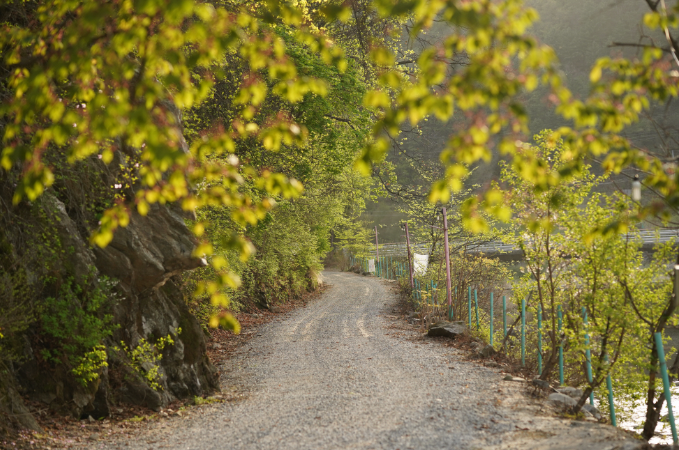경기-가평-하늘숲글램핑파크-사진-입니다.