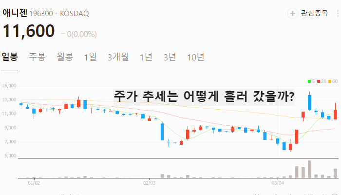 K뷰티 화장품 관련주 대장주 주식 TOP5