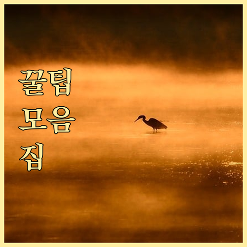 미국 여행 ESTA 거절? 호텔 취소..