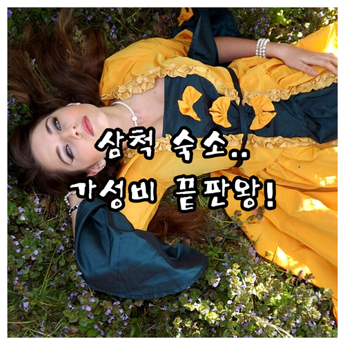 삼척 숙소 추천 가성비 좋은 펜션 모..