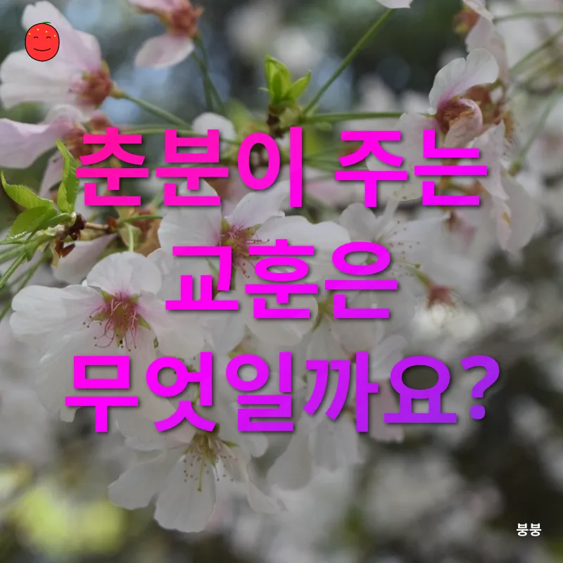 춘분의 의미와 가치_3
