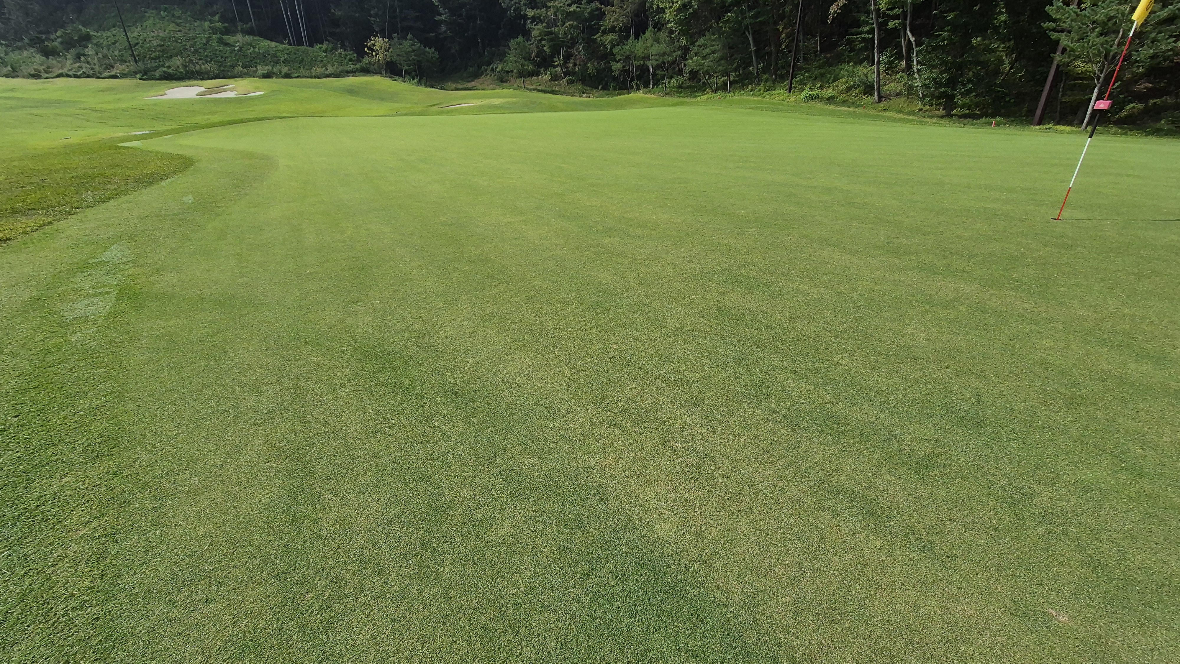 오로라cc 그린 빠르기 및 난이도