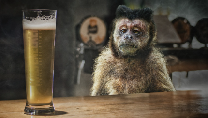 맥주를 사용한 간단한 요리 레시피