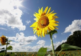 입추란 무엇인가