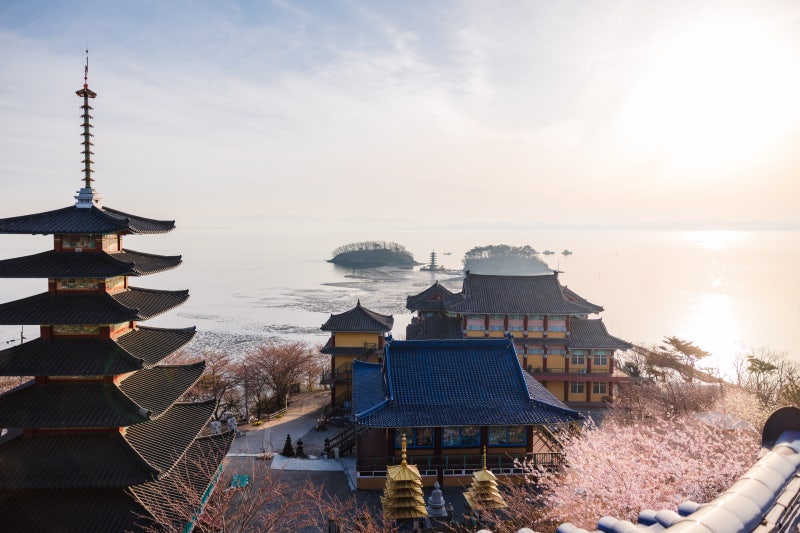 안면도수목원 가이드 : 입장료 할인부터 예약까지