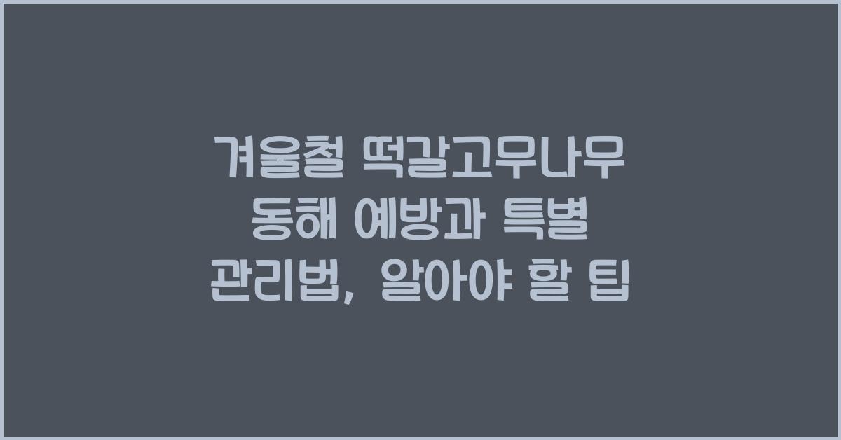 겨울철 떡갈고무나무 동해 예방과 특별 관리법