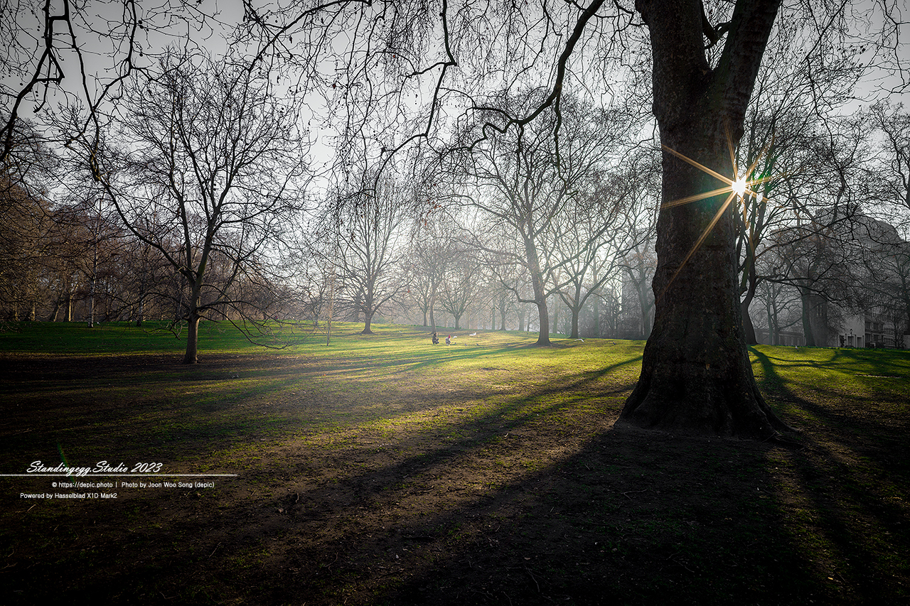 #런던 #영국 #유럽 #버킹엄궁전 #공원 #서유럽여행