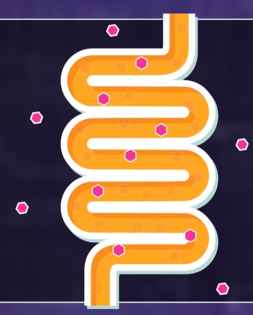 일본 변비약 코락쿠